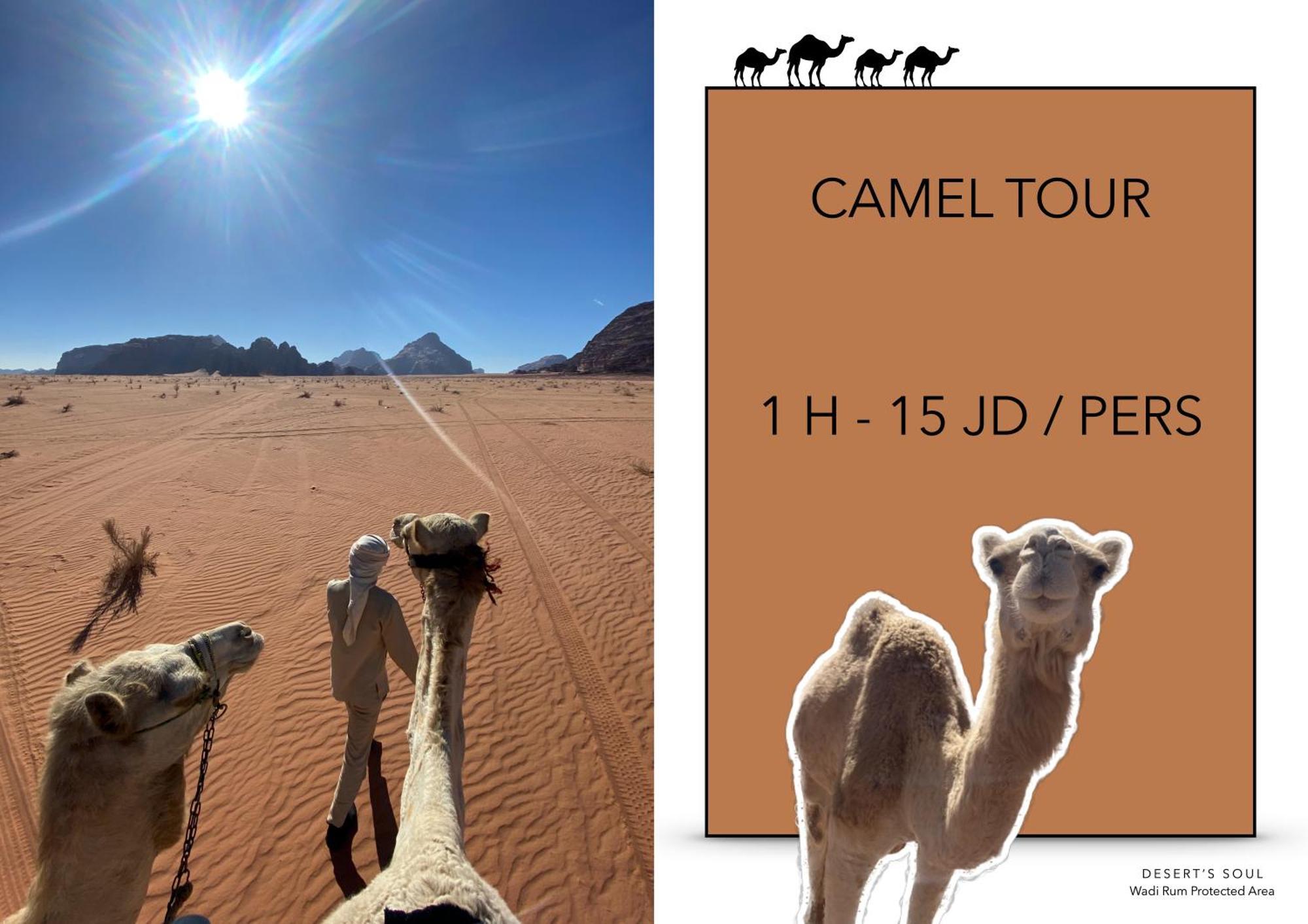 Desert'S Soul Wadi Rum Ad Disah Zewnętrze zdjęcie