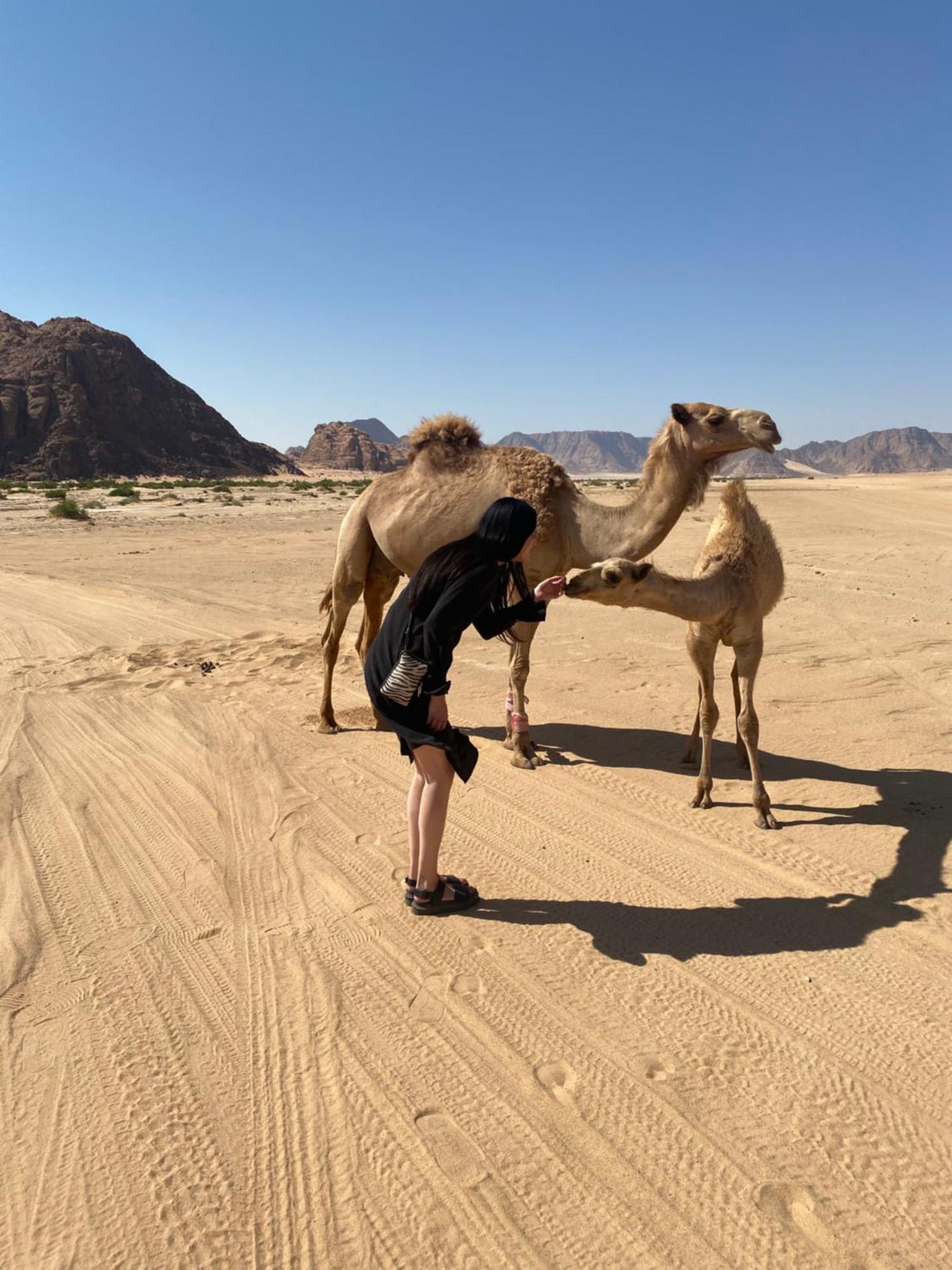 Desert'S Soul Wadi Rum Ad Disah Zewnętrze zdjęcie